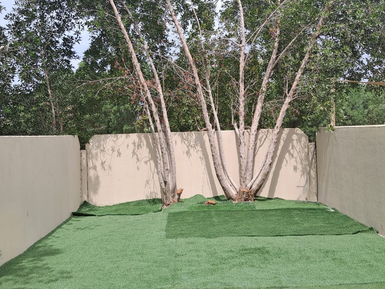 Great Deal | Rent Refund | Well Maintained Unit 